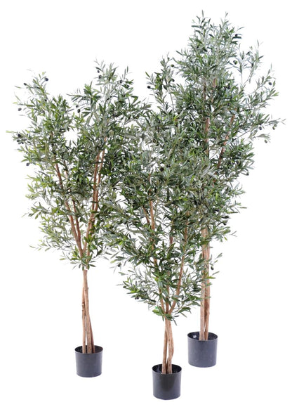 Arbre artificiel Olivier large 3 troncs - décoration pour intérieur - H.180cm