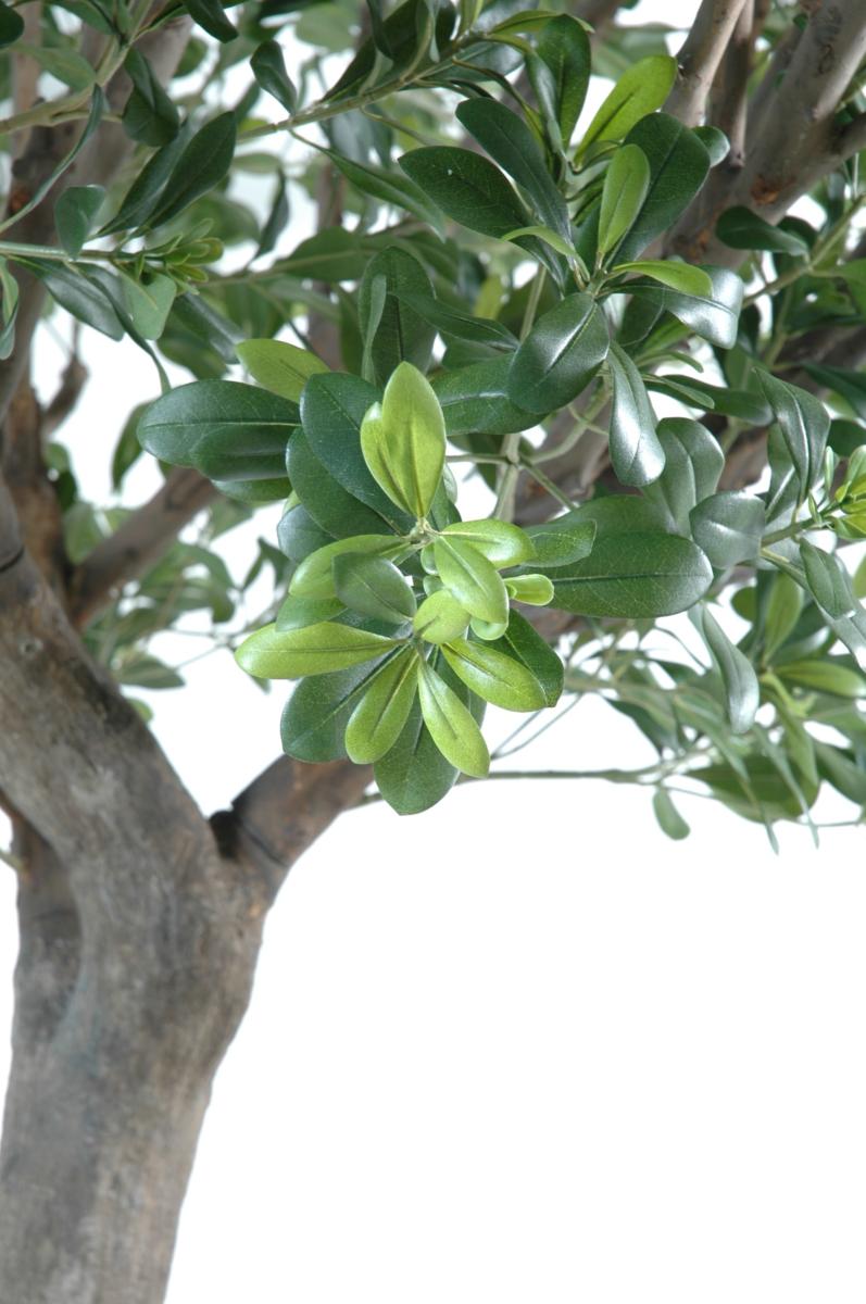 Arbre artificiel Pittosporum - plante décoration d'intérieur - H.260cm