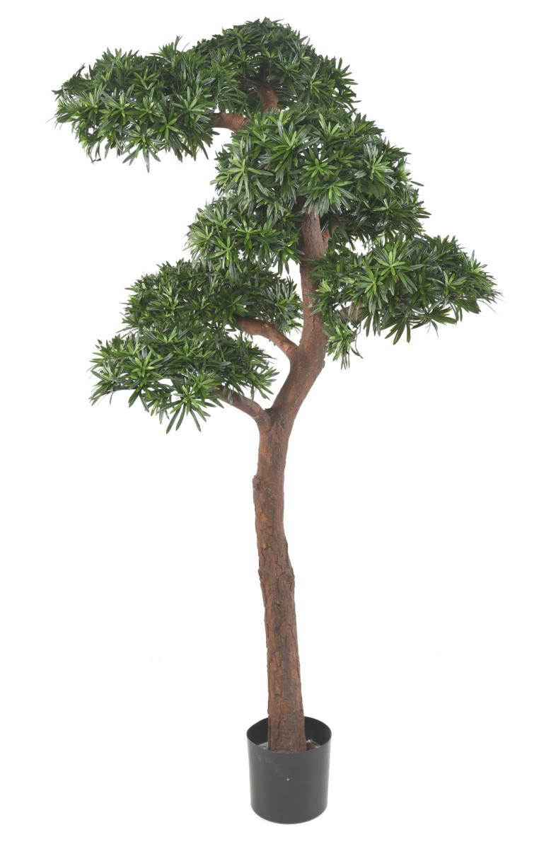 Arbre artificiel Podocarpus Bonsaï UV - intérieur extérieur - H.210cm