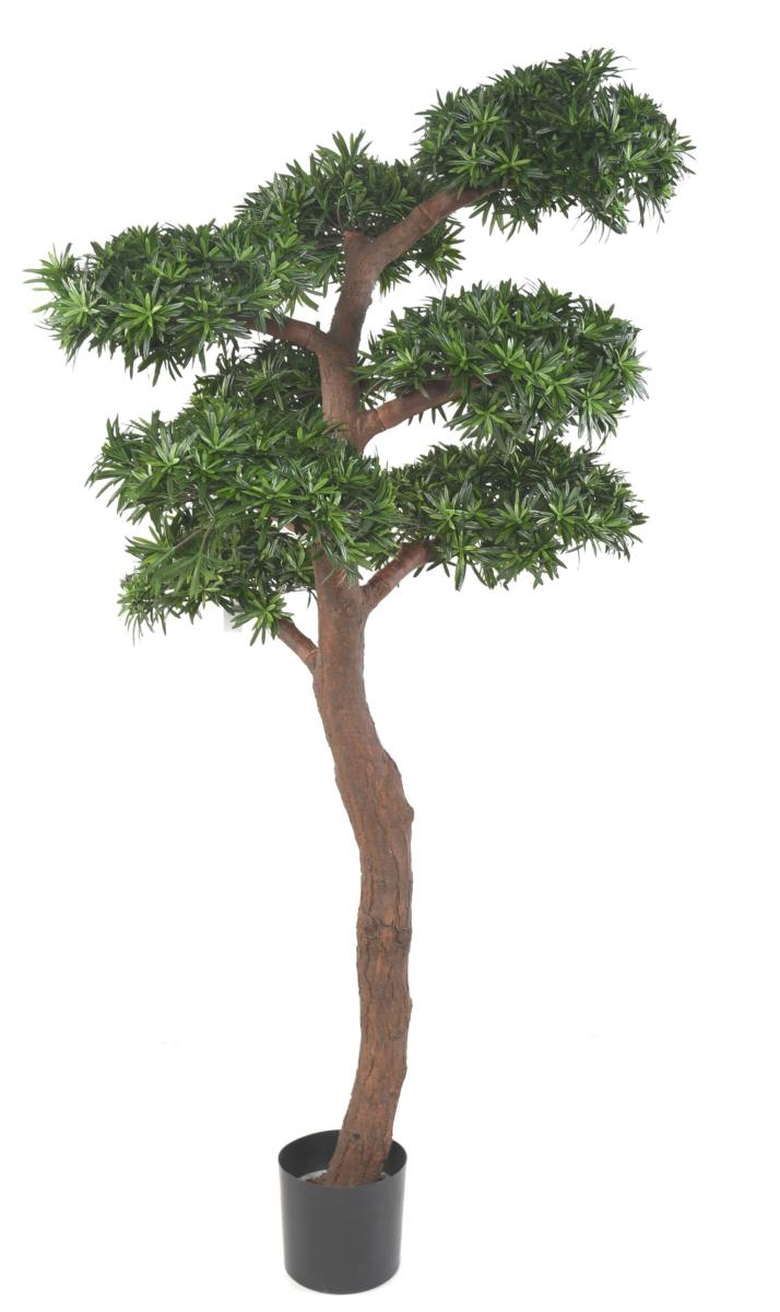 Arbre artificiel Podocarpus Bonsaï UV - intérieur extérieur - H.210cm