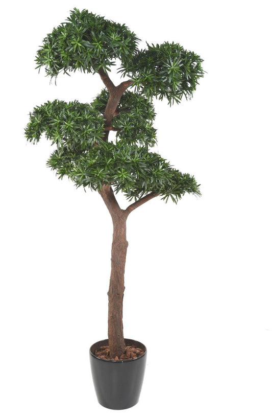 Arbre artificiel Podocarpus Bonsaï UV - intérieur extérieur - H.210cm