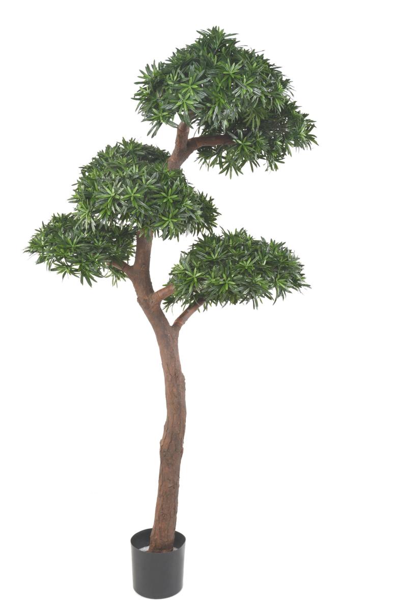 Arbre artificiel Podocarpus Bonsaï UV - intérieur extérieur - H.210cm