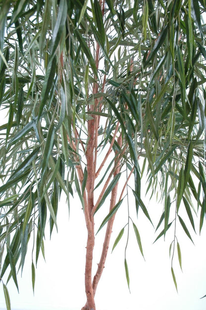 Arbre artificiel Saule pleureur - plante d'intérieur - H.270cm vert