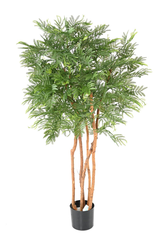 Arbre artificiel Tamarin UV (mimosa) - plante intérieur extérieur - H.150cm