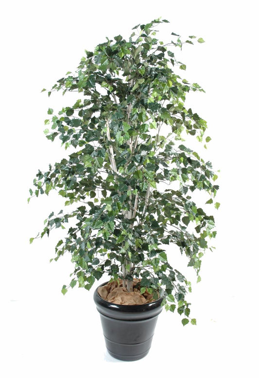 Arbre artificiel forestier Bouleau - plante pour intérieur - H.210cm