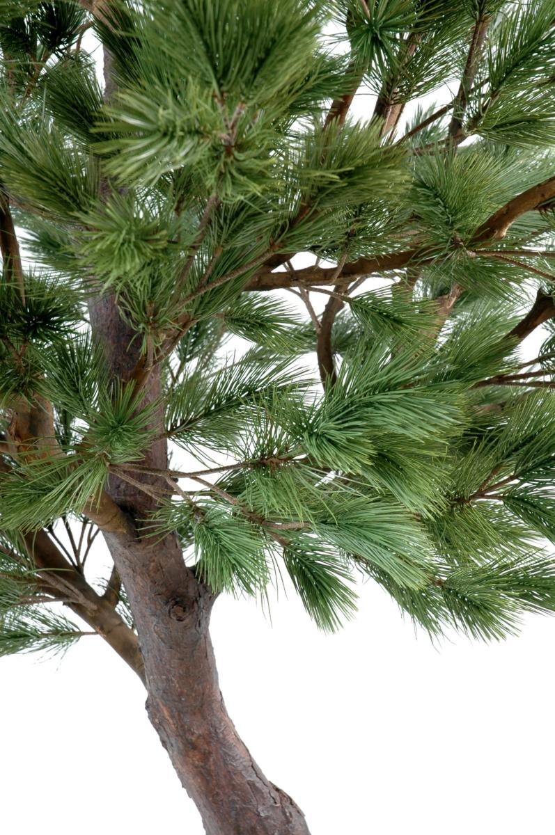 Arbre artificiel forestier Pin Autriche large - arbre méditerranéen intérieur - H.340 cm