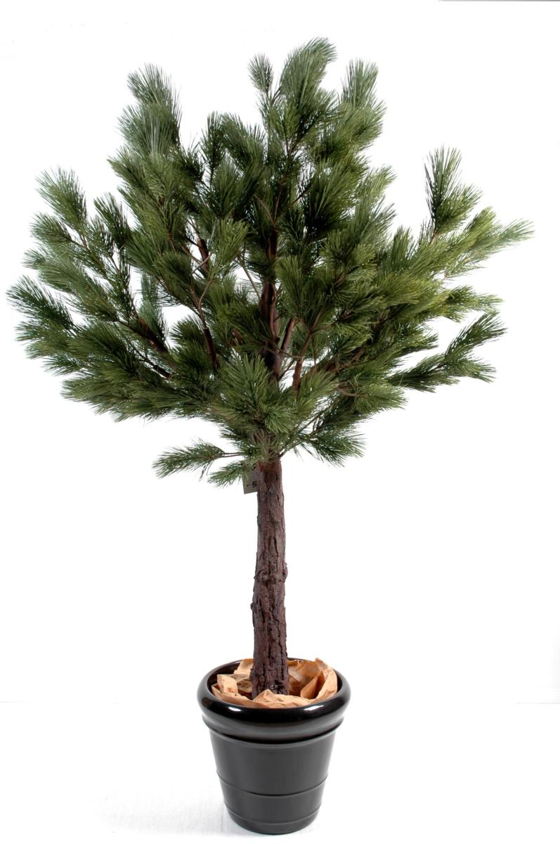 Arbre artificiel forestier Pin Autriche - arbre méditerranéen pour intérieur - H.170cm