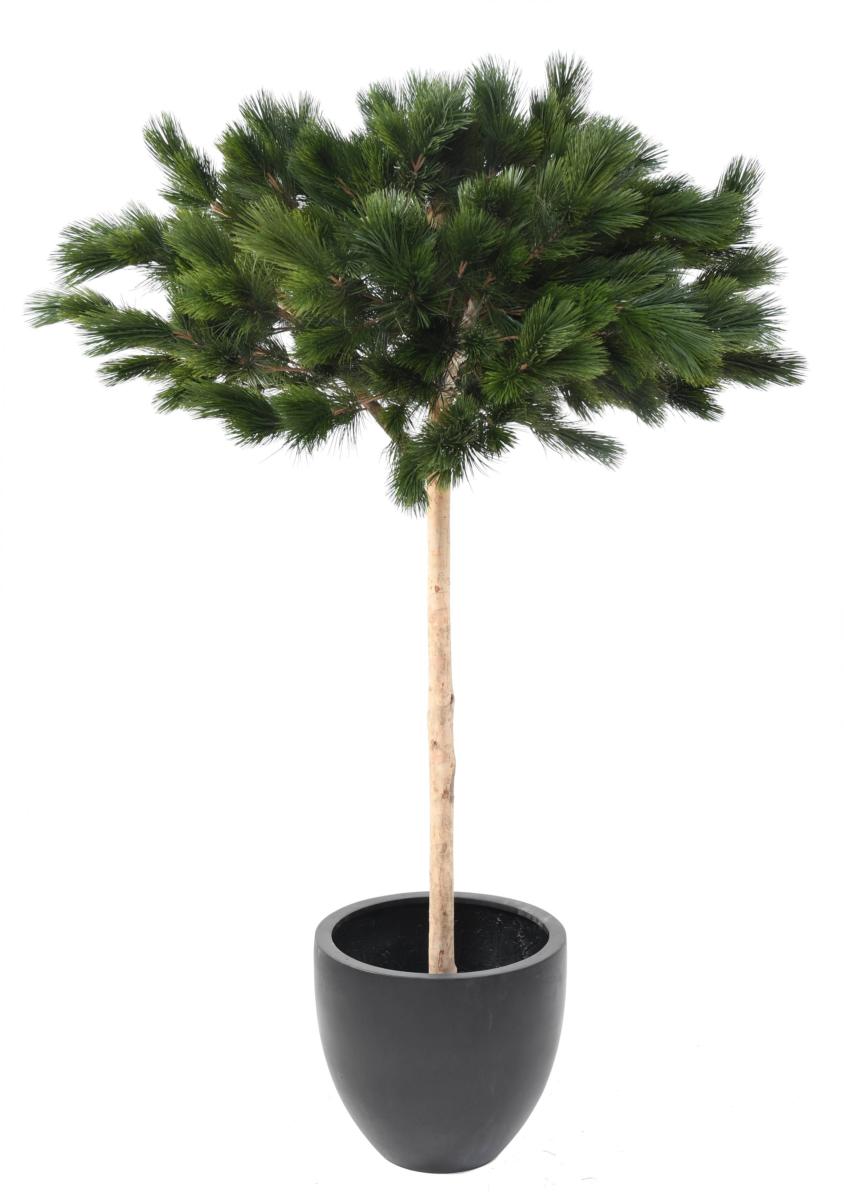 Arbre artificiel forestier Pin Umbrella - arbre méditerranéen intérieur - H.210cm