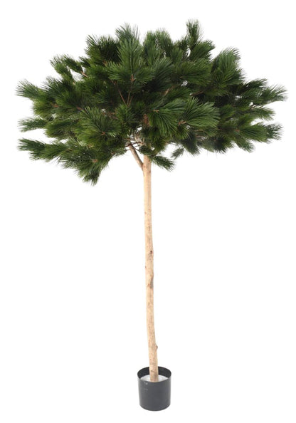 Arbre artificiel forestier Pin Umbrella - arbre méditerranéen intérieur - H.210cm