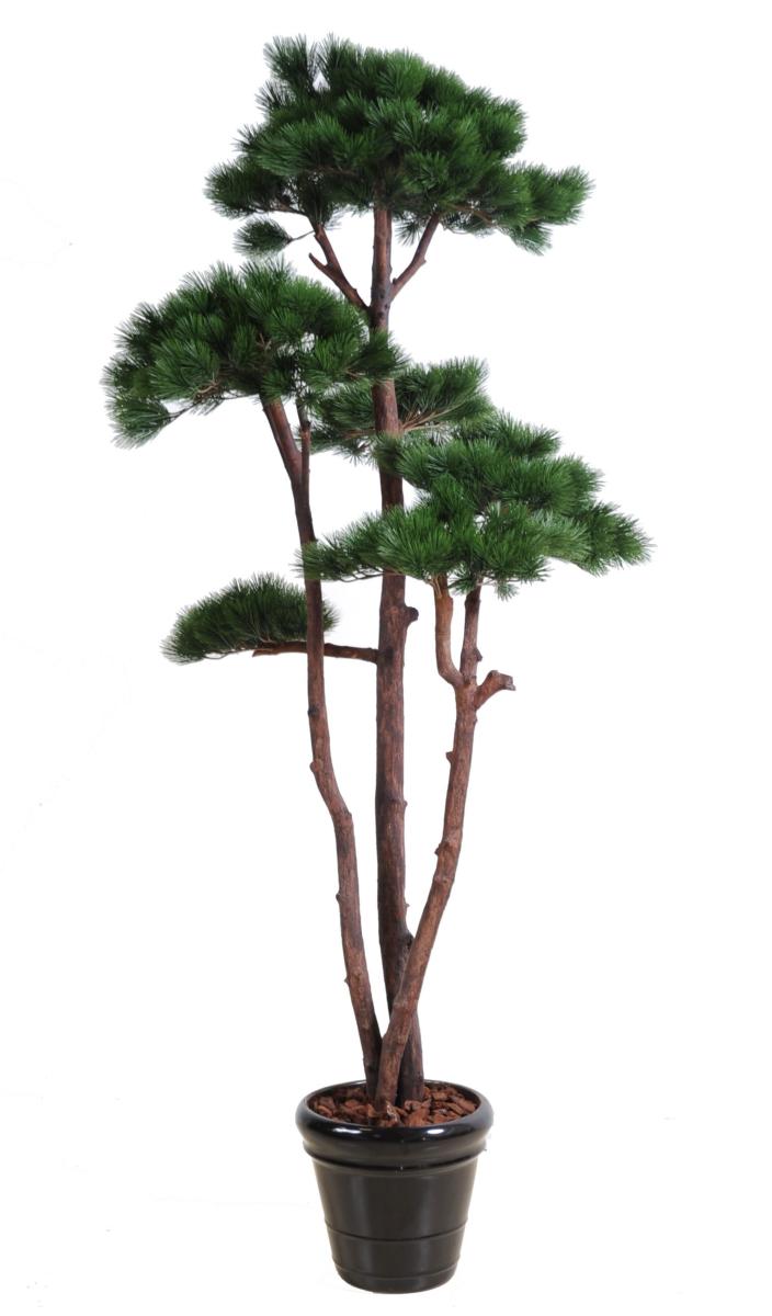 Arbre artificiel forestier Pin nuage - arbre méditerranéen pour intérieur - H.250cm