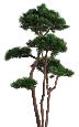 Arbre artificiel forestier Pin nuage - arbre méditerranéen pour intérieur - H.250cm