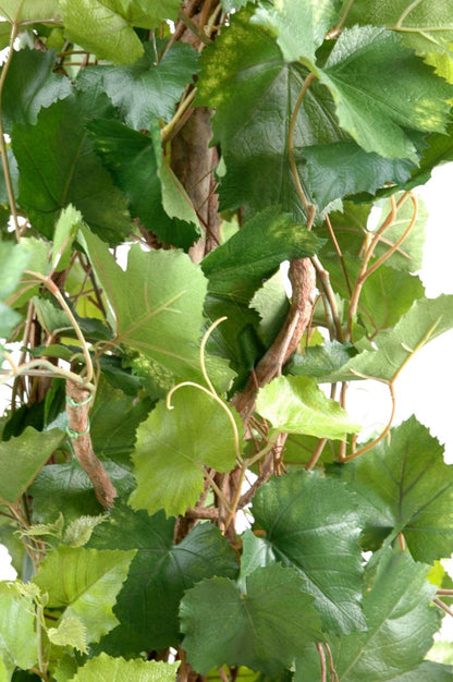 Arbre artificiel fruitier Vigne - plante pour intérieur - H.200cm