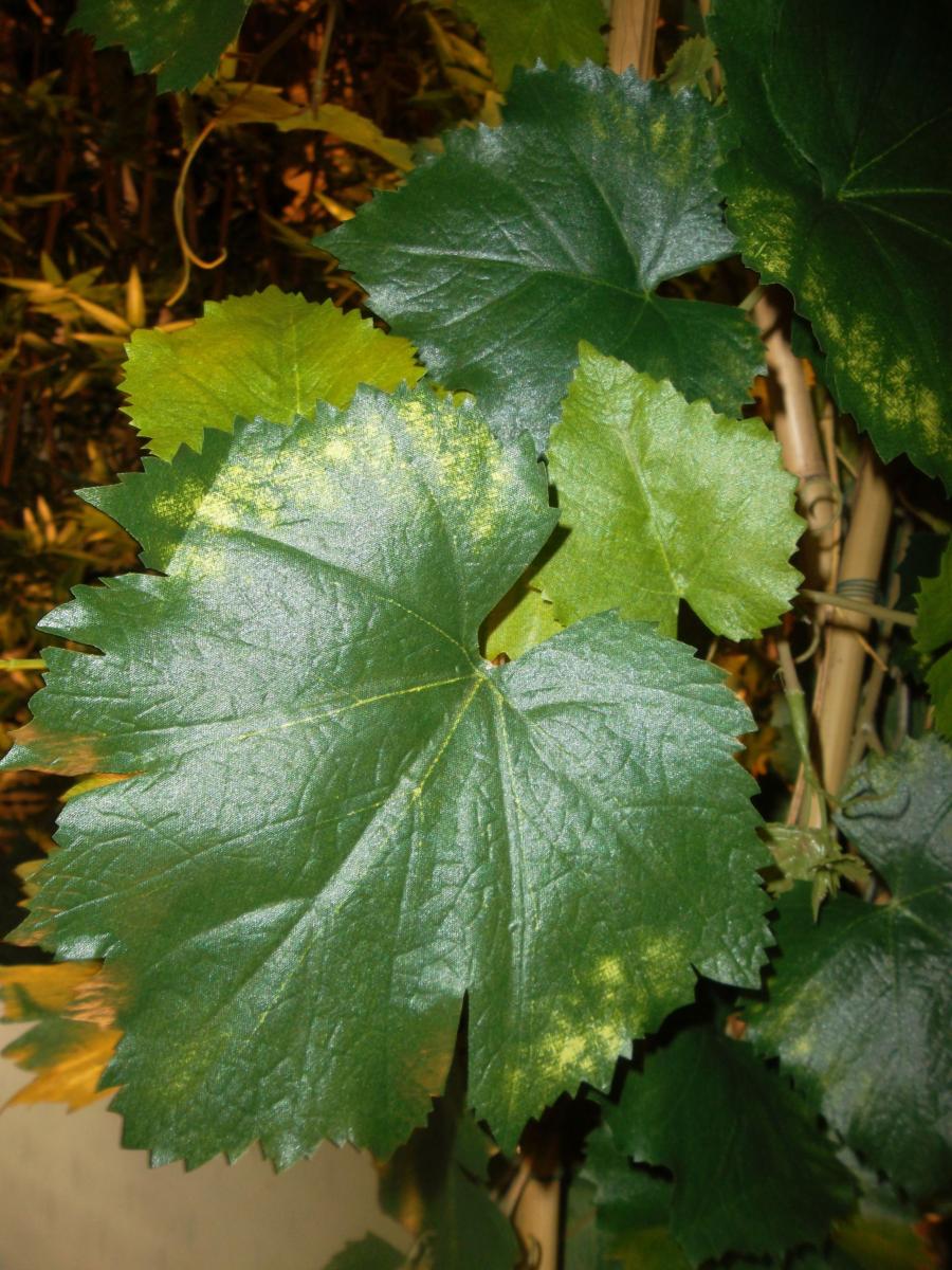 Arbre artificiel fruitier Vigne - plante pour intérieur - H.200cm