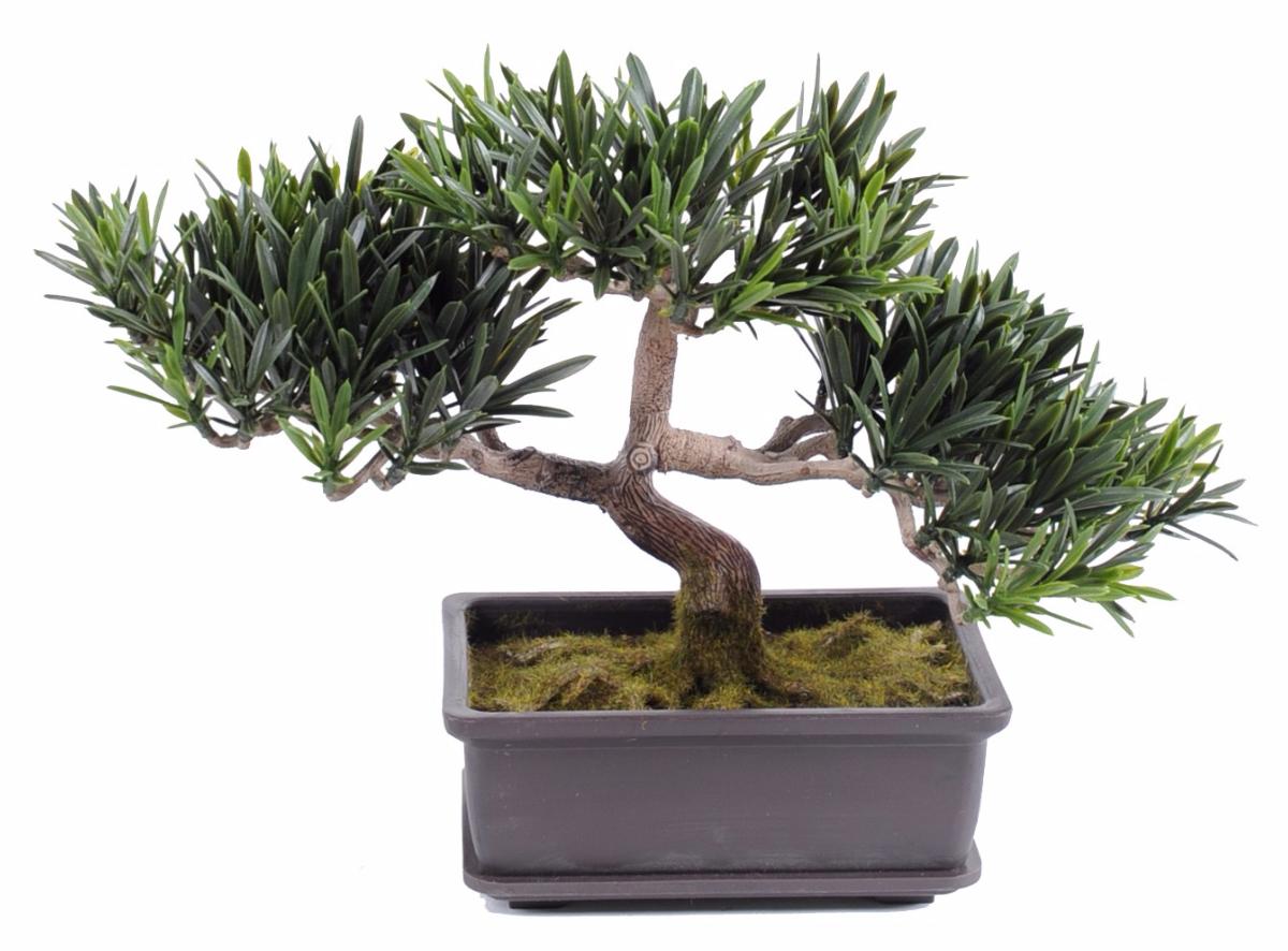 Bonsaï Podocarpus artificiel en coupe - plante intérieur extérieur - H.22cm