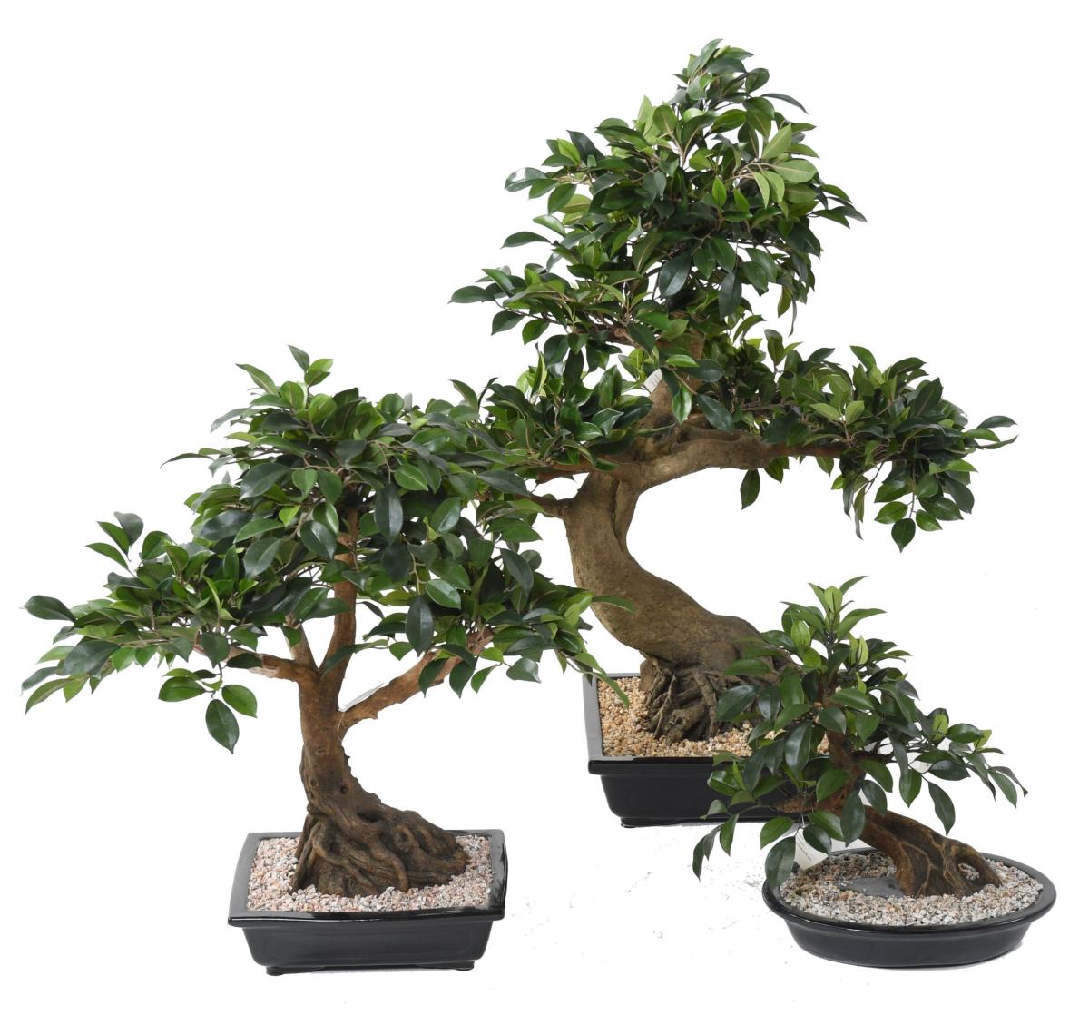 Bonsaï artificiel arbre miniature Ficus en coupe - plante d'intérieur - H.58cm