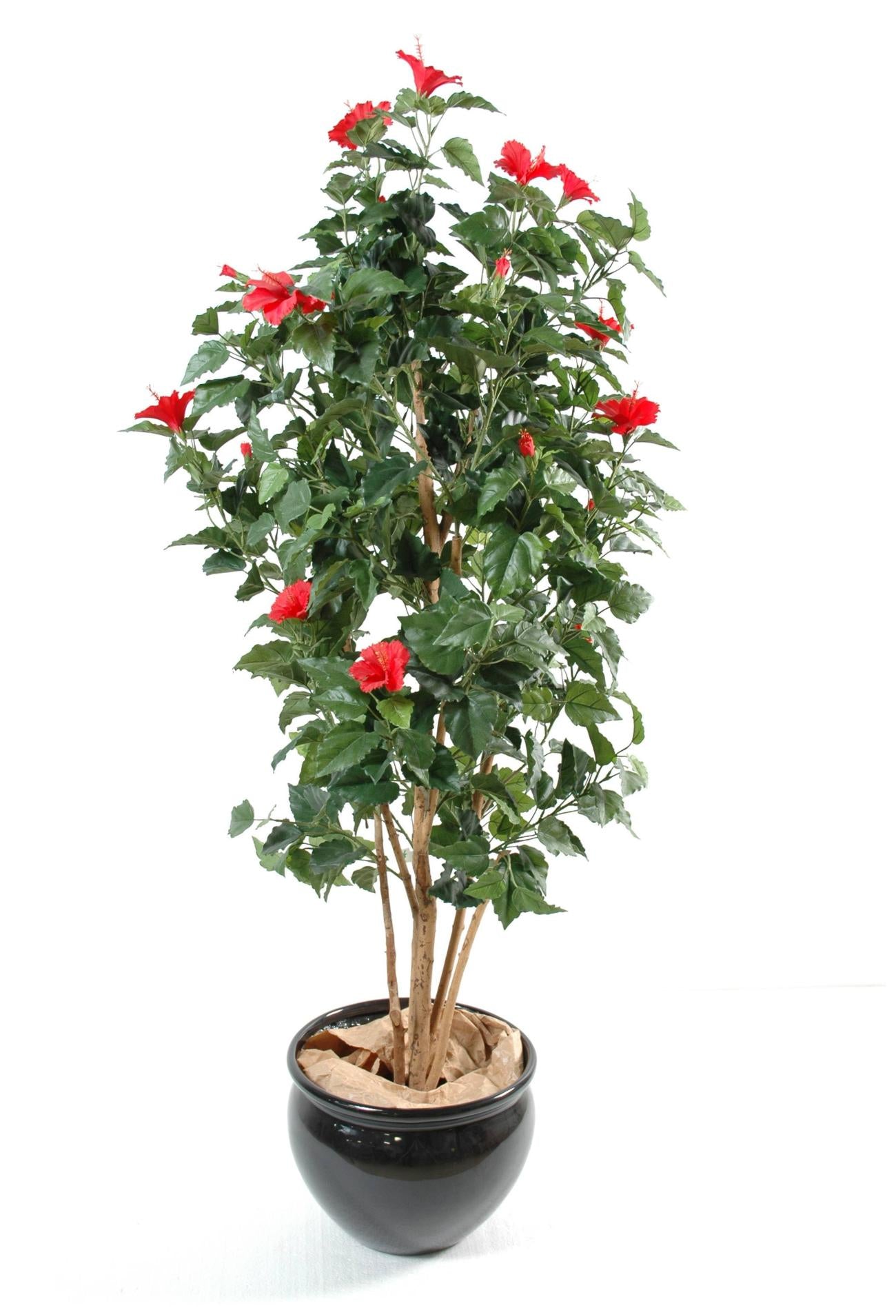 Arbre fleuri artificiel Hibiscus - plante fleurie synthétique - H.150cm rouge