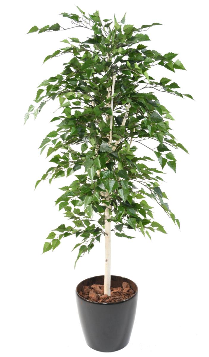 Arbre forestier artificiel Bouleau TB - décoration d'intérieur - H.180cm