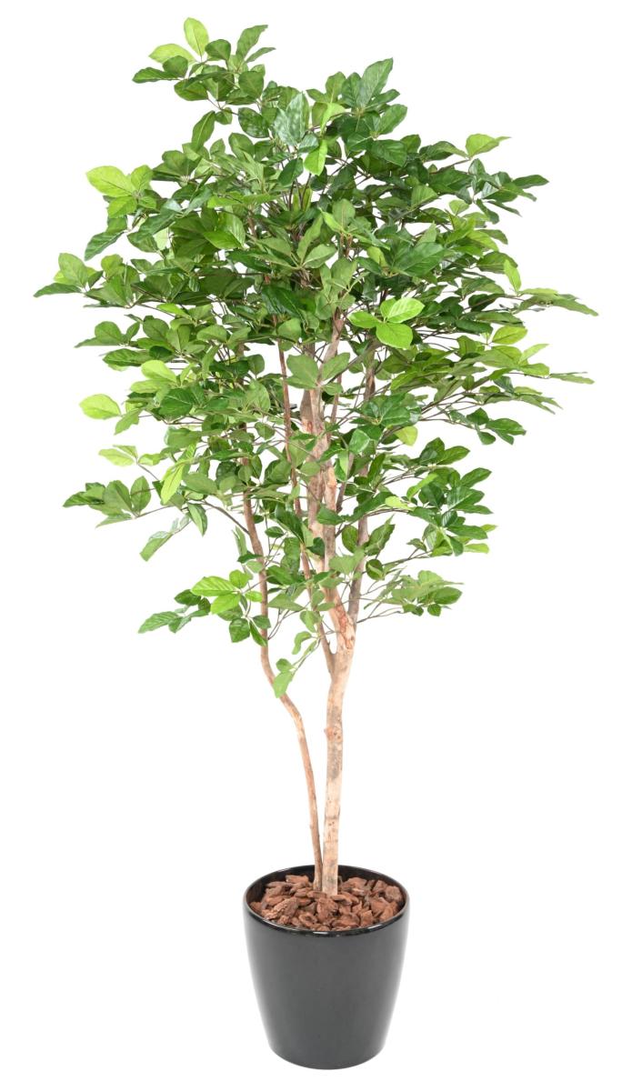 Arbre forestier artificiel Hêtre Grandifolia - décoration d'intérieur - H.190cm