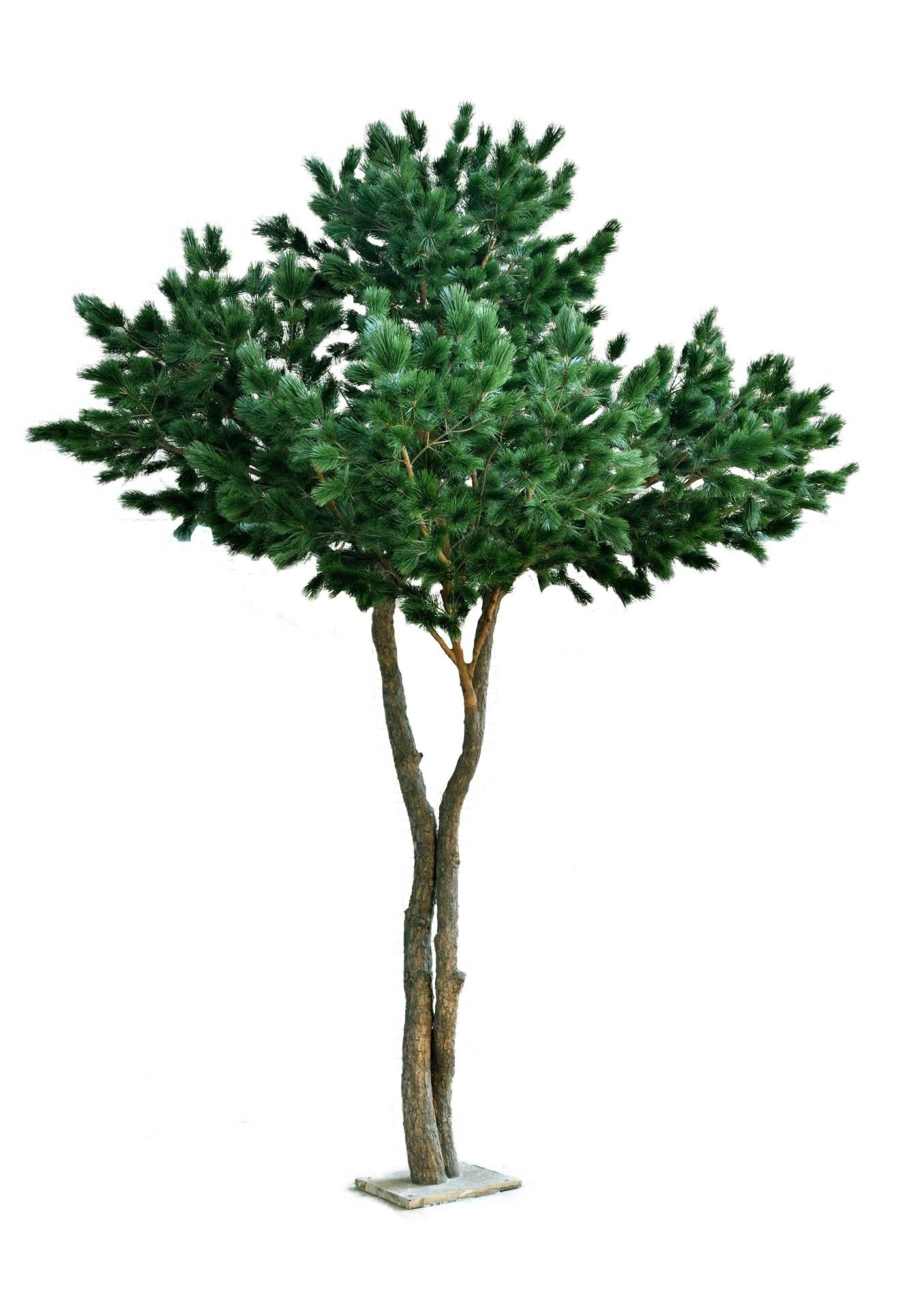 Arbre forestier artificiel Pin maritime - décoration d'intérieur - H.430cm