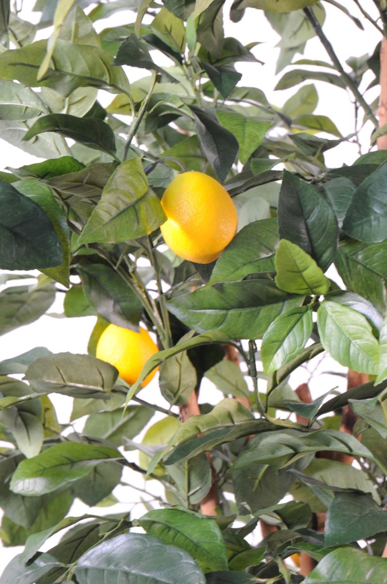 Arbre fruitier artificiel Citronnier et fruits - plante intérieur - H.150cm