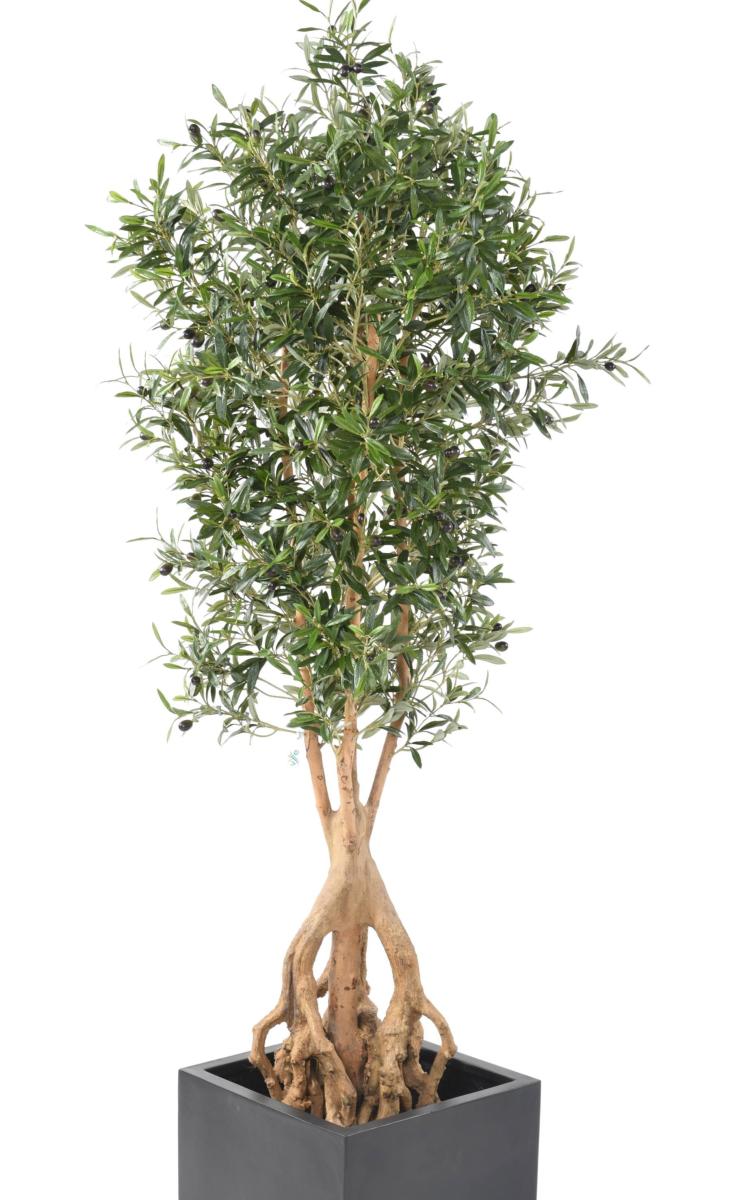 Arbre fruitier artificiel Olivier Root et olives - plante pour intérieur - H.175cm