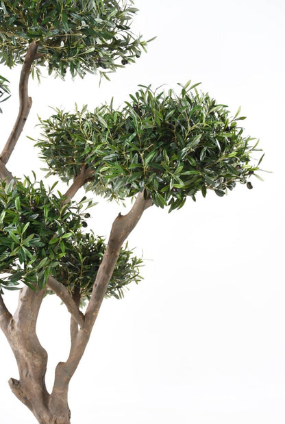 Arbre fruitier artificiel Olivier bonsaï nuage - plante pour intérieur - H.235 cm