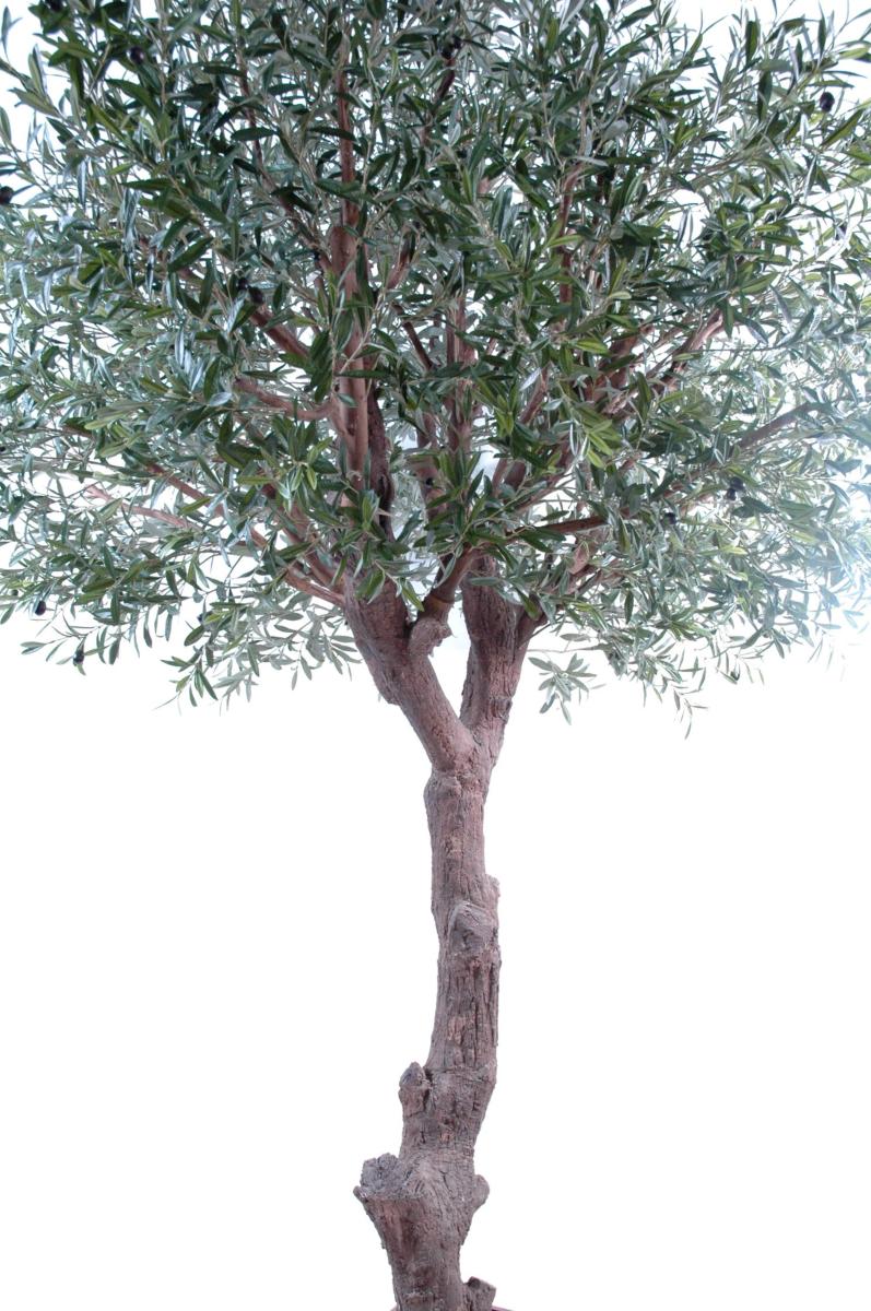 Arbre fruitier artificiel Olivier tête géant et olives - plante pour intérieur - H.270cm