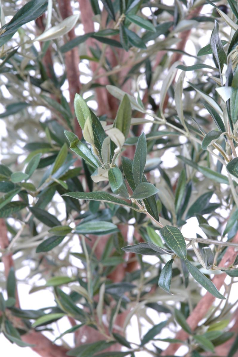 Arbre fruitier artificiel Olivier tête large et olives - plante pour intérieur - H.210cm