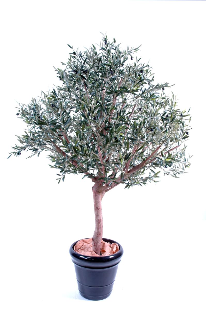 Arbre fruitier artificiel Olivier tête large et olives - plante pour intérieur - H.210cm