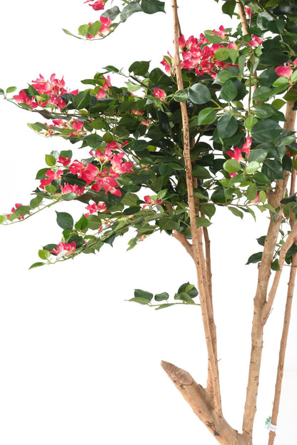 Arbre semi-naturel fleuri Bougainvillier Root - plante d'intérieur - H.160cm fuchsia