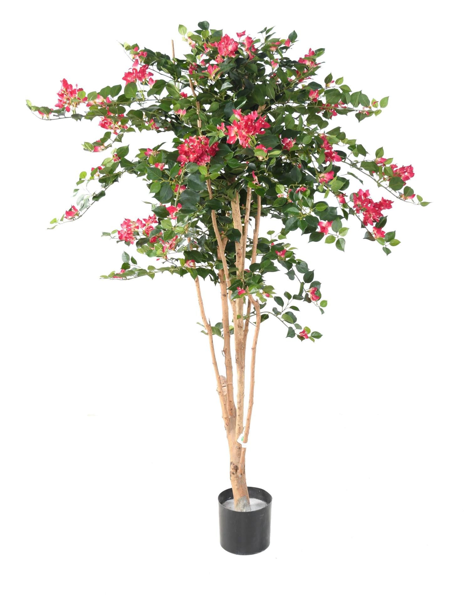 Arbre semi-naturel fleuri Bougainvillier Root - plante d'intérieur - H.160cm fuchsia