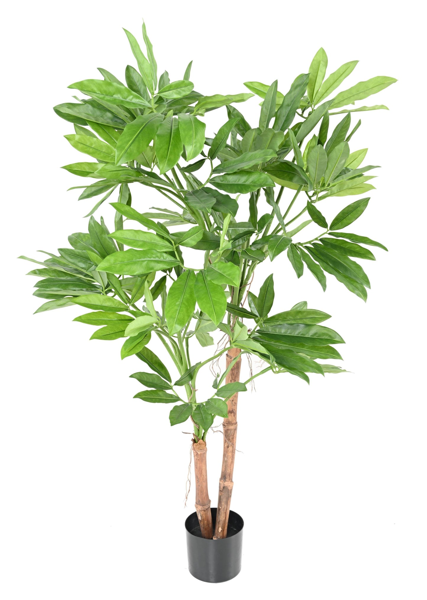 Arbre artificiel tropical Philodendron Goeldii - plante d'intérieur - H.150cm