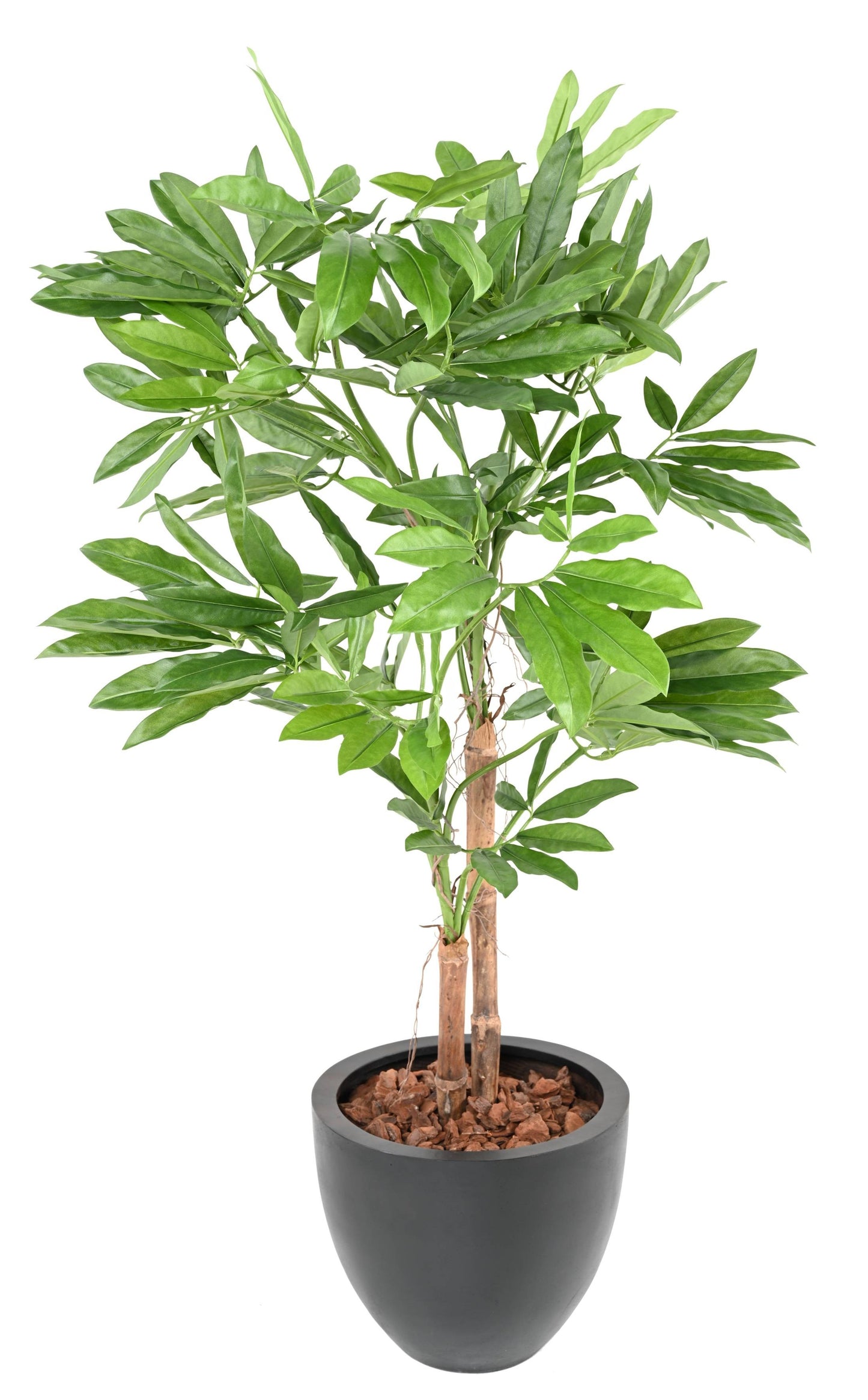 Arbre artificiel tropical Philodendron Goeldii - plante d'intérieur - H.150cm