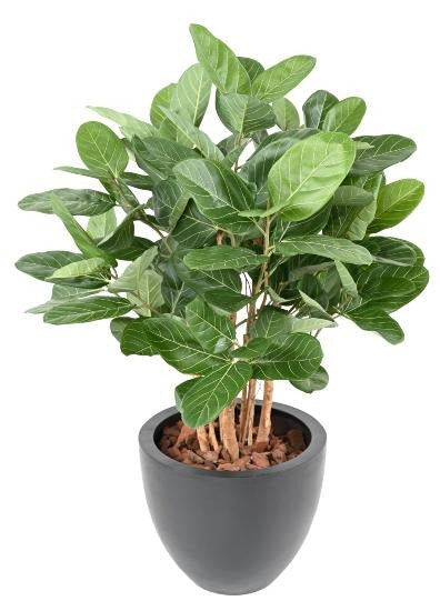 Buisson artificiel Ficus Audrey - plante synthétique d'intérieur - H.100cm