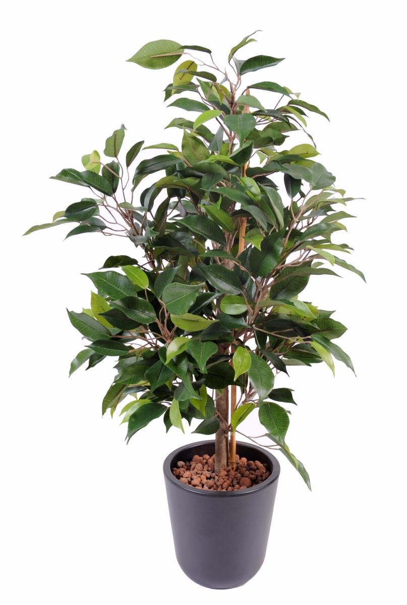 Arbuste artificiel Ficus Natasja - plante synthétique intérieur - H.60cm