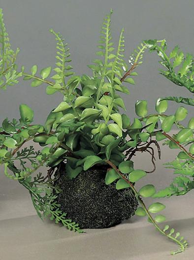 Assortiment de 3 Fougères artificielles socle mousse - plante d'intérieur - H.19cm vert