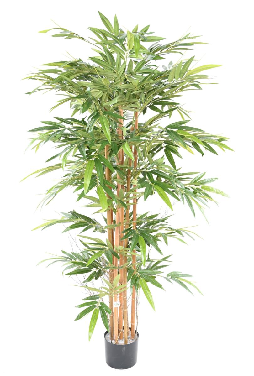 Bambou artificiel Gamme Eco 7 cannes 1100 feuilles - intérieur - H.175cm vert
