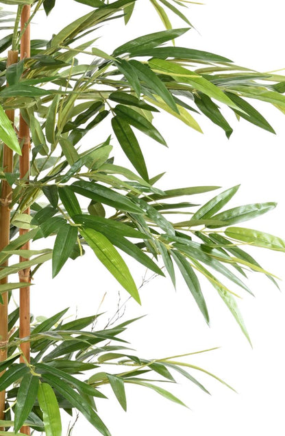 Bambou artificiel Gamme Eco 7 cannes 1100 feuilles - intérieur - H.175cm vert