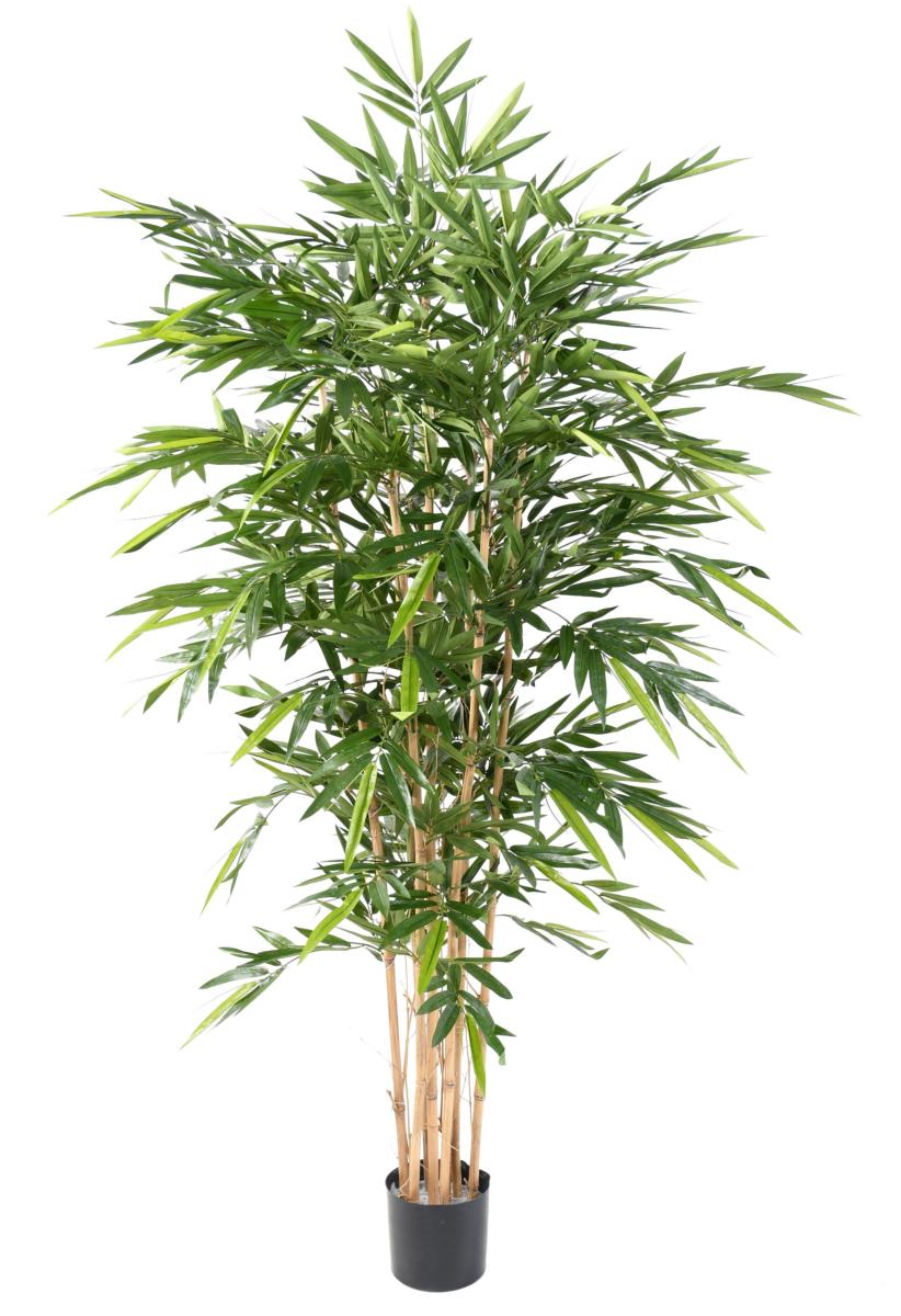 Bambou artificiel Luxe 7 cannes naturelles - intérieur - H.180cm vert