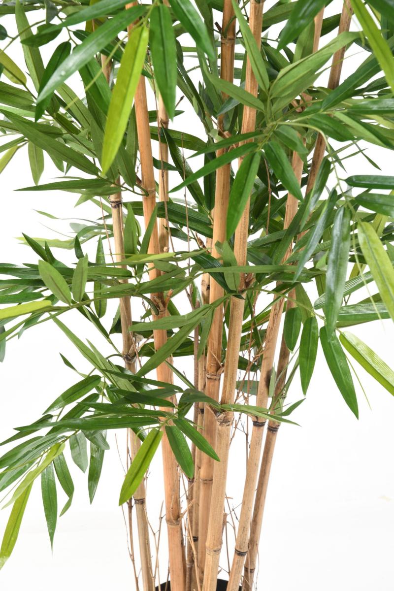 Bambou artificiel Luxe 8 cannes naturelles - intérieur - H.210cm vert
