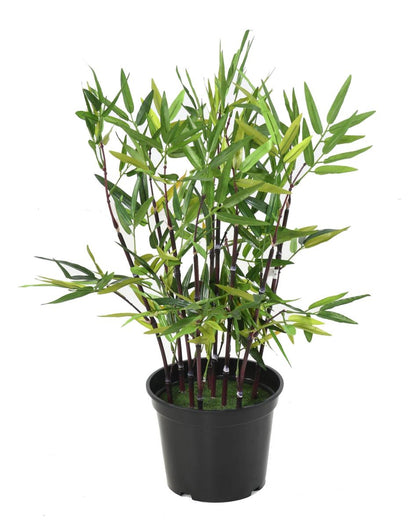 Bambou artificiel arbuste cannes noires - plante en pot d'intérieur - H.60cm vert