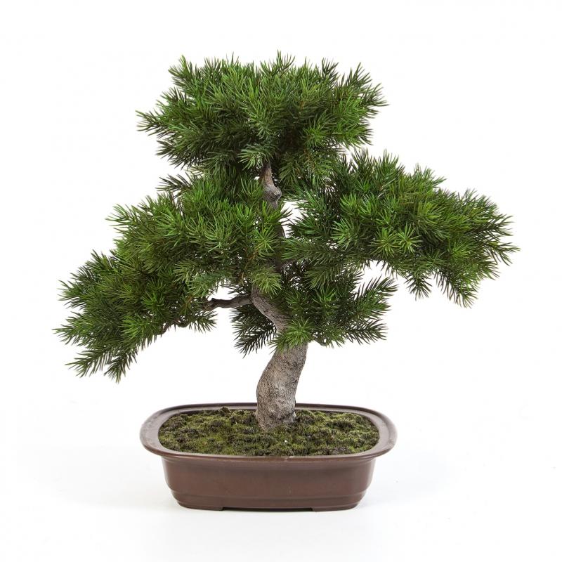 Bonsaï artificiel Pin en coupe - plante synthétique intérieur - H.48cm