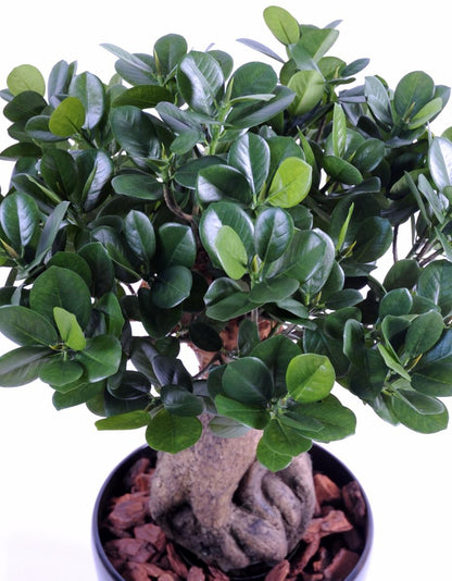 Bonsaï artificiel arbre miniature Ficus Panda Ginseng - plante d'intérieur - H.60cm