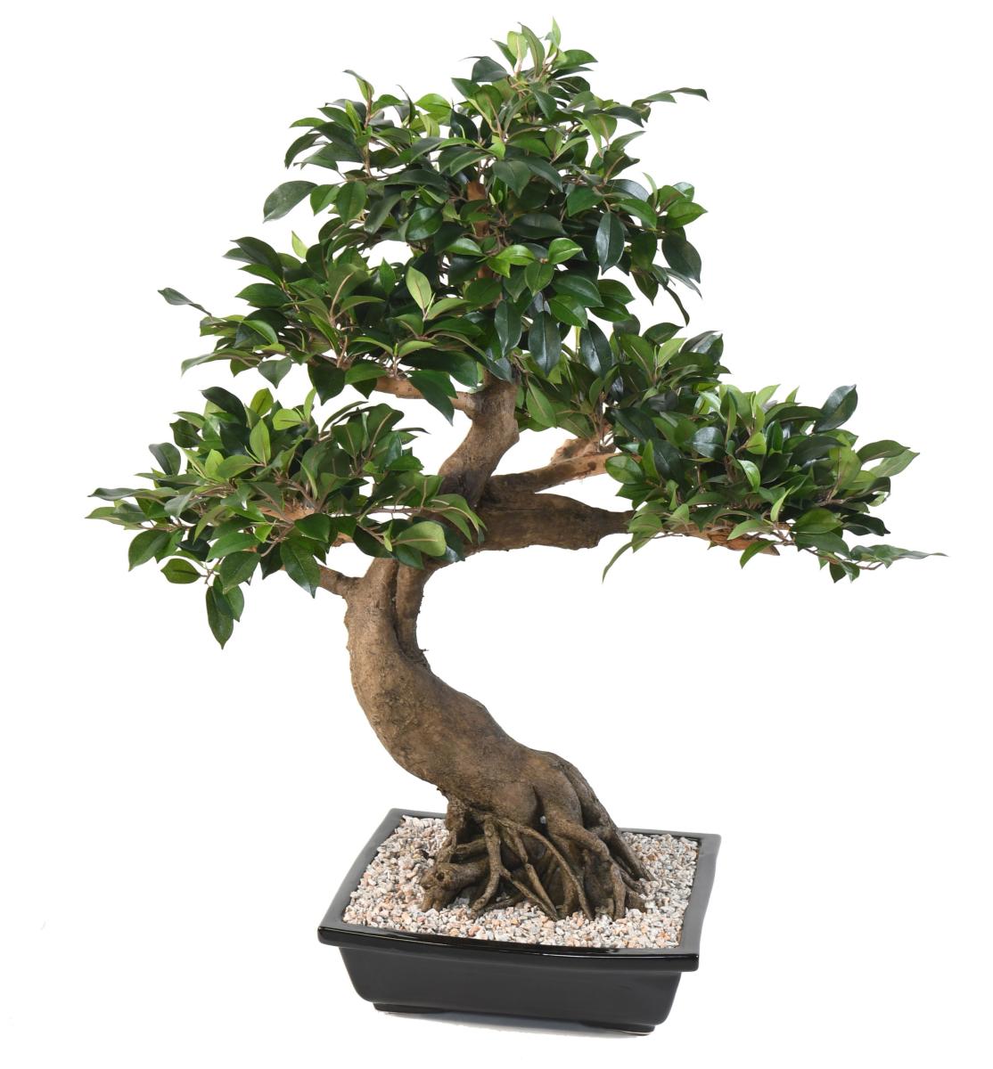 Bonsaï artificiel arbre miniature Ficus en coupe - plante d'intérieur - H.78 cm