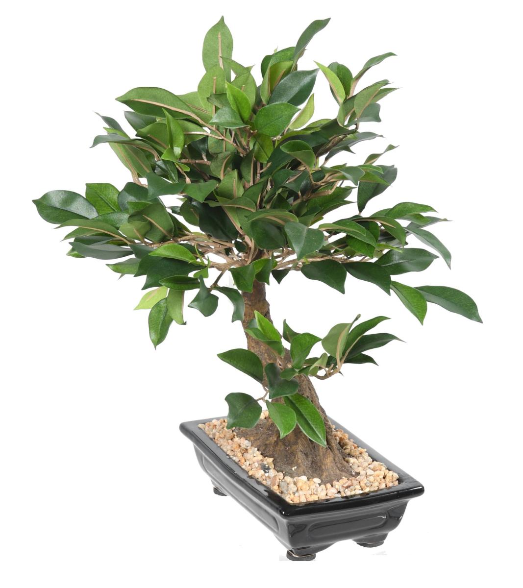 Bonsaï artificiel arbre miniature Ficus en coupe - plante intérieur - H.38cm