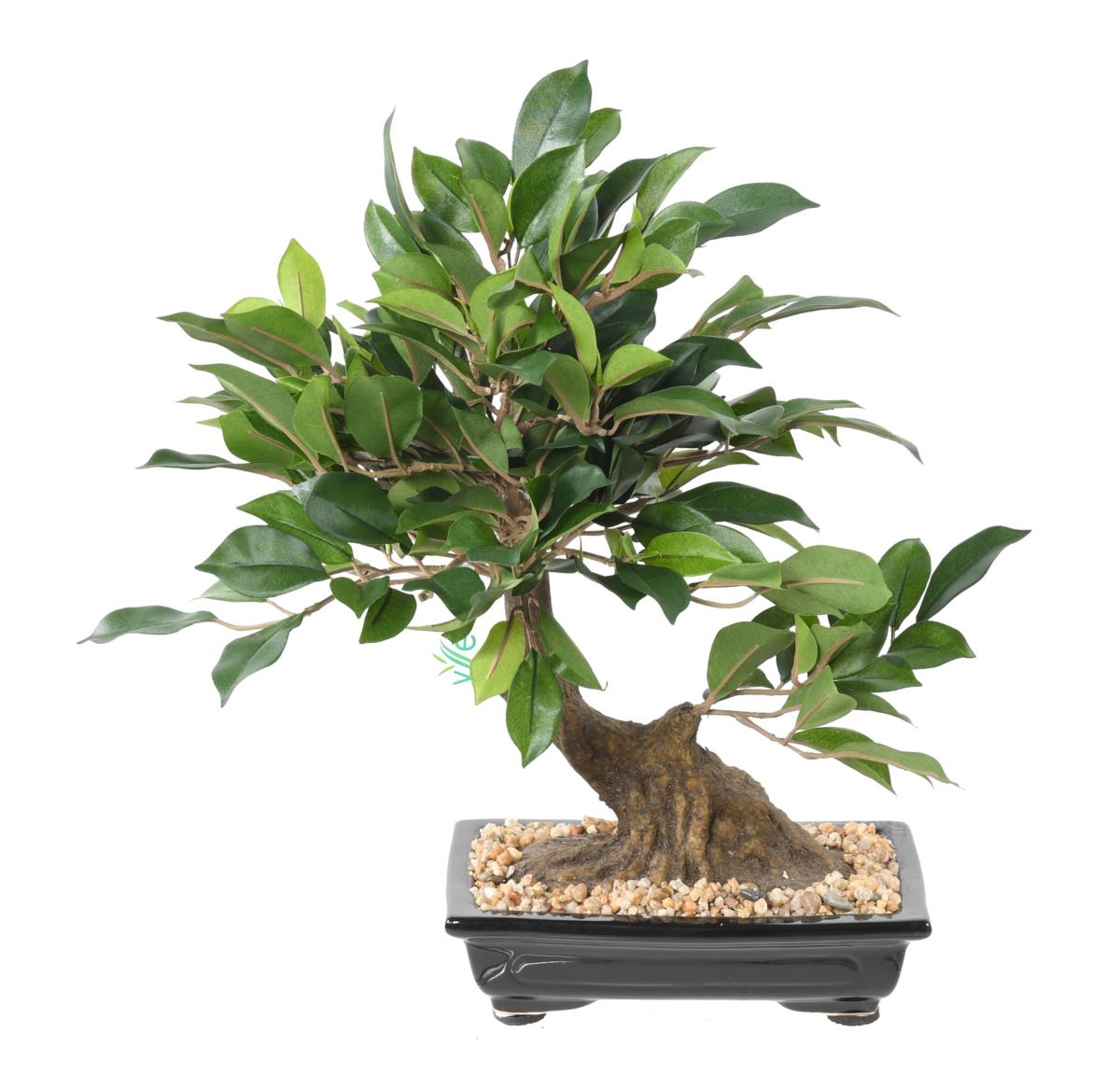 Bonsaï artificiel arbre miniature Ficus en coupe - plante intérieur - H.38cm