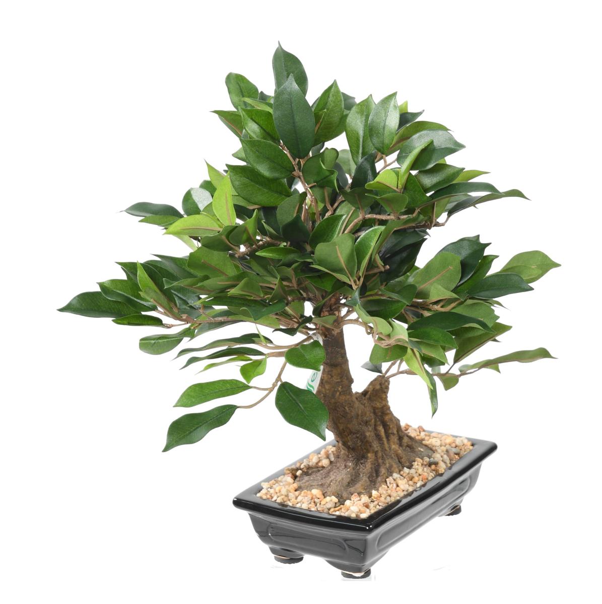 Bonsaï artificiel arbre miniature Ficus en coupe - plante intérieur - H.38cm