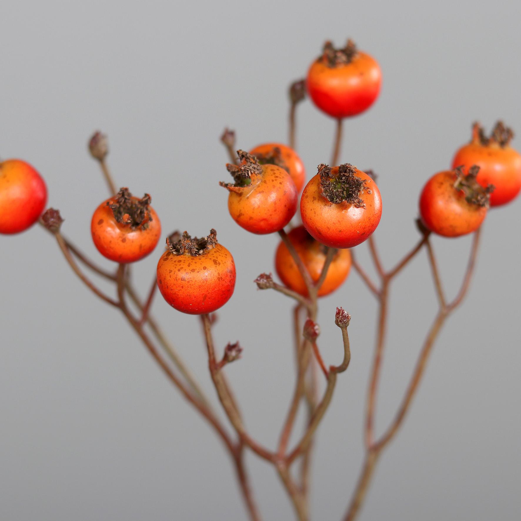 Branche artificielle d'églantier baies oranges - composition florale - H.46cm