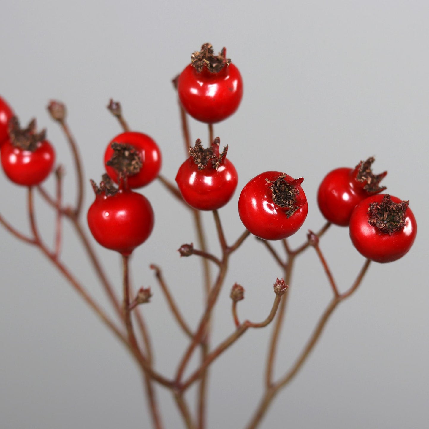 Branche artificielle d'églantier baies rouges - composition florale - H.46cm