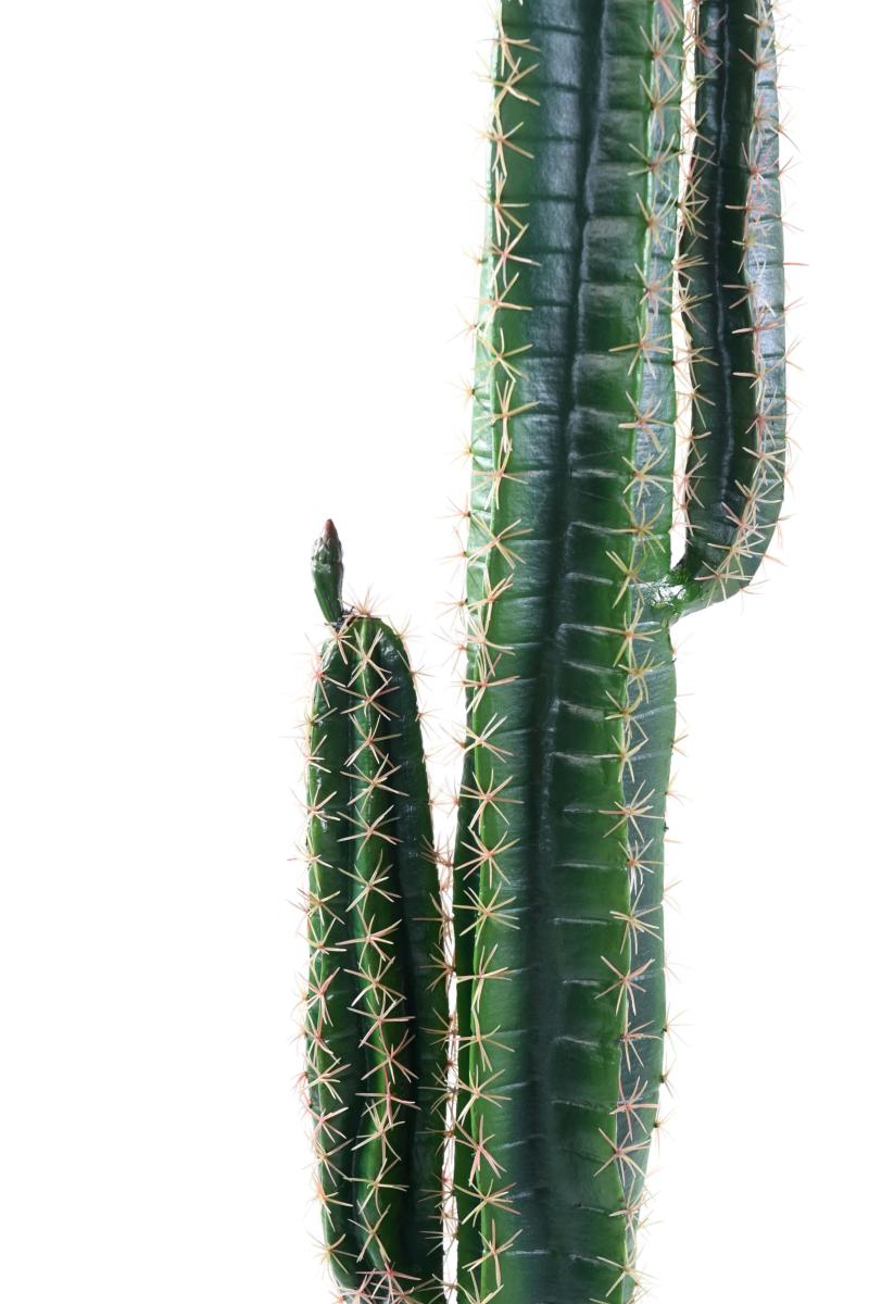 Cactus artificiel Cereus - Plante artificielle pour intérieur - H.160cm vert